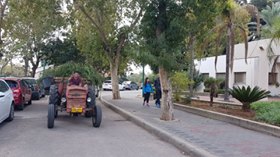 Image may contain: one or more people, tree, plant, sky, outdoor and nature